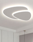 Modern LED ceiling light