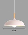 Ceiling lamp in Northern Oak