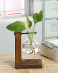 Rustic Wooden Hydroponic Plant Holder with Clear Glass Vase – Natural Minimalist Design for Small Plants and Cuttings 0