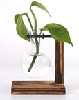 Rustic Wooden Hydroponic Plant Holder with Clear Glass Vase – Natural Minimalist Design for Small Plants and Cuttings 4