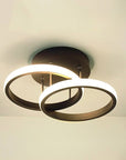 Modern and stylish ceiling light
