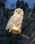 Solar Owl Outdoor Lamp – Charming Solar Garden Light with Automatic Lighting, Weatherproof, Energy-Efficient LED 2