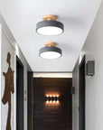 Modern LED Ceiling Lamp