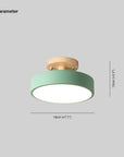 Modern LED Ceiling Lamp