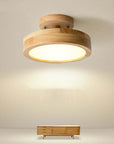 Modern LED Ceiling Lamp