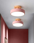 Modern LED Ceiling Lamp