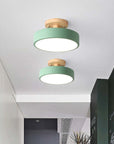 Modern LED Ceiling Lamp