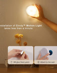 Motion sensor lamp