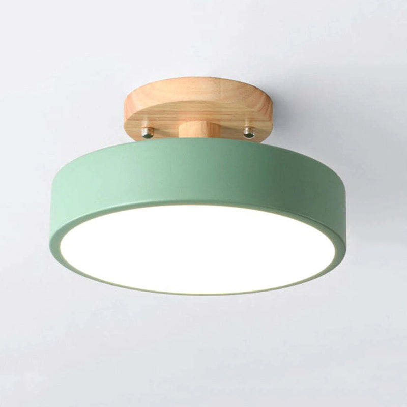 Modern LED Ceiling Lamp