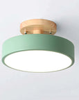 Modern LED Ceiling Lamp