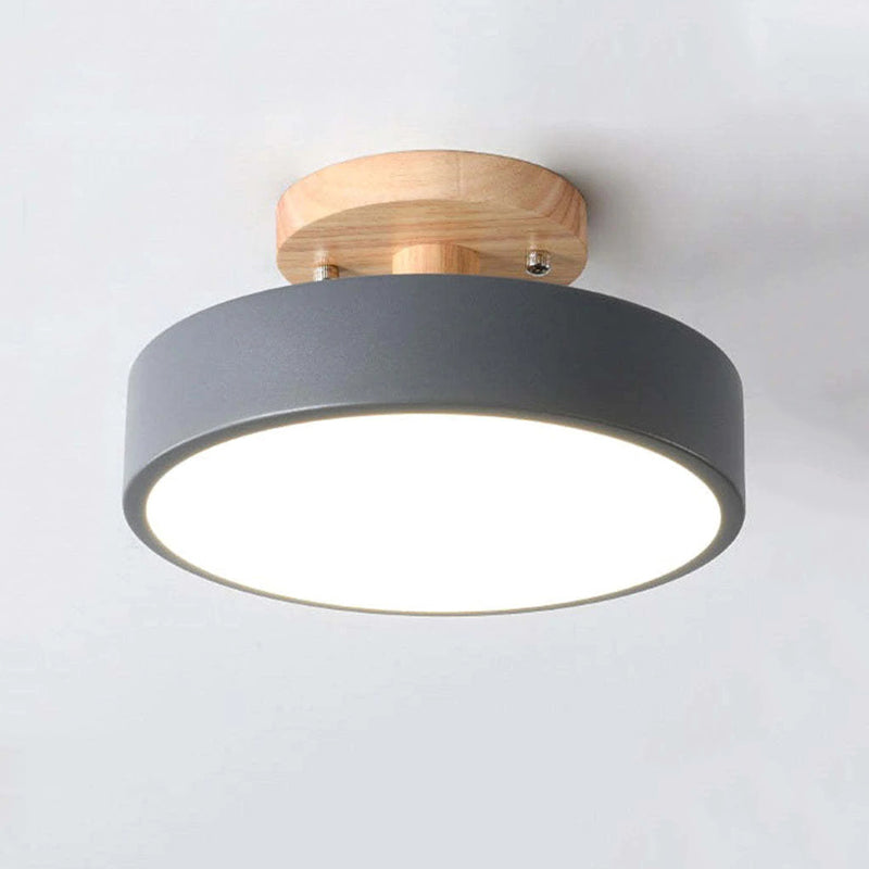 Modern LED Ceiling Lamp