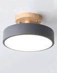 Modern LED Ceiling Lamp