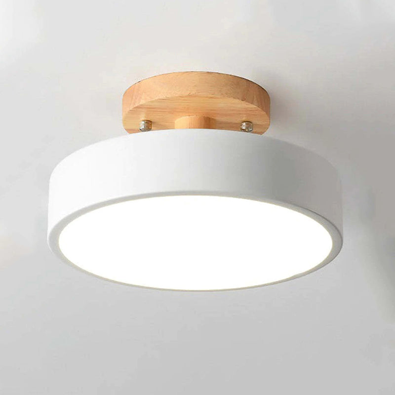 Modern LED Ceiling Lamp