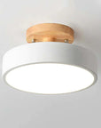 Modern LED Ceiling Lamp