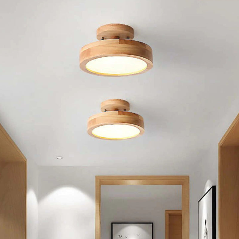 Modern LED Ceiling Lamp