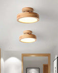 Modern LED Ceiling Lamp