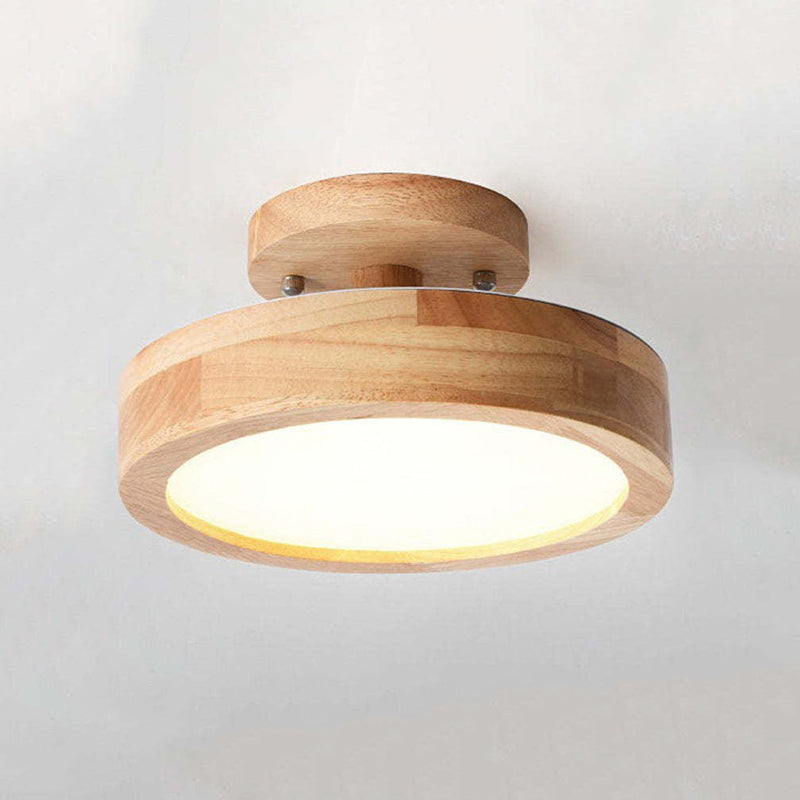 Modern LED Ceiling Lamp