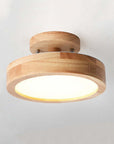 Modern LED Ceiling Lamp