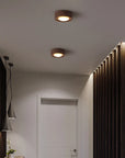 Walnut Ceiling Lamp with LED Spotlight