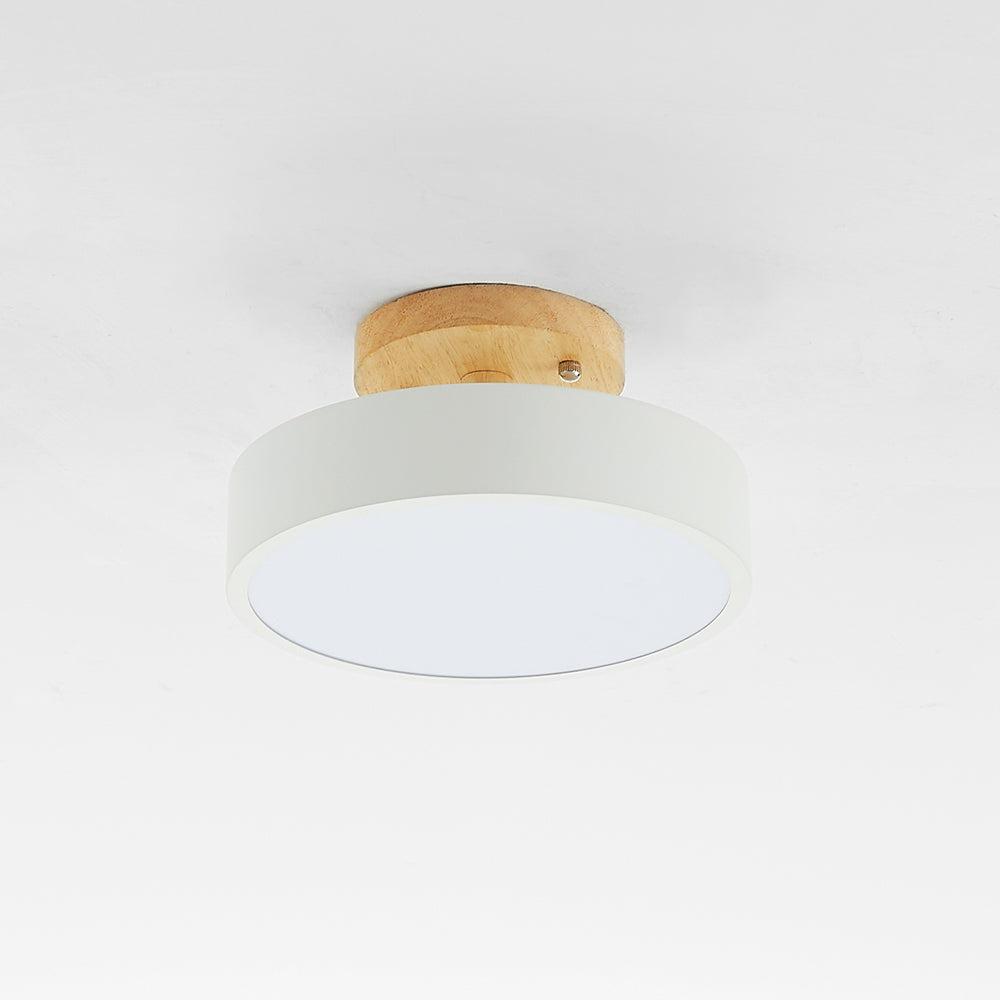 Modern LED Ceiling Lamp