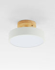 Modern LED Ceiling Lamp