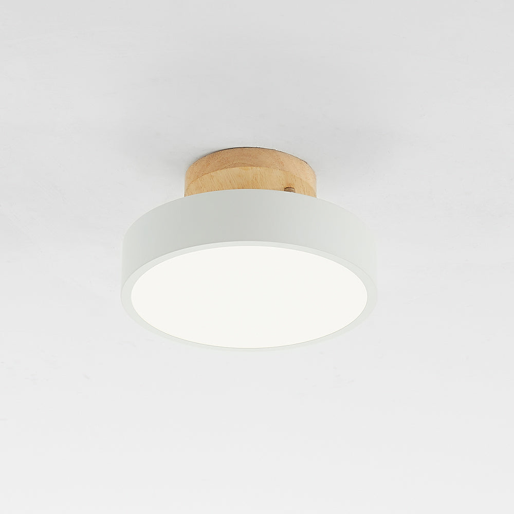 Modern LED Ceiling Lamp