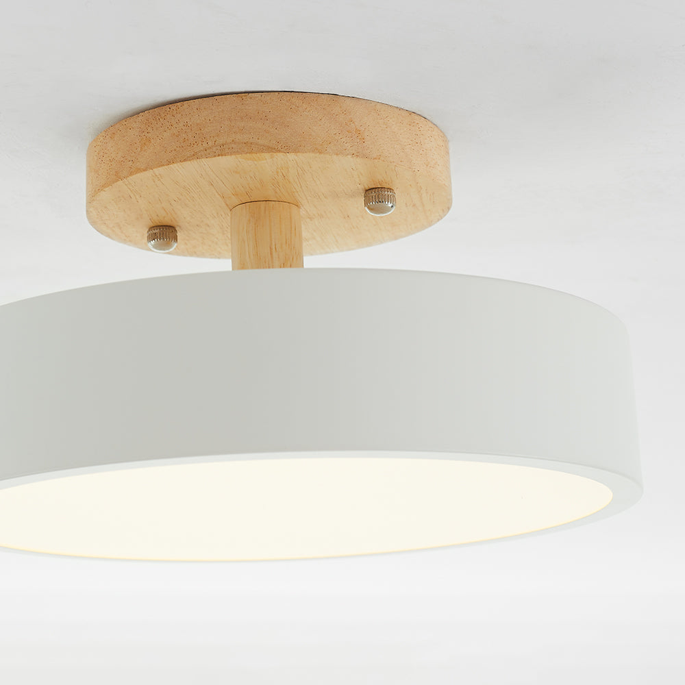 Modern LED Ceiling Lamp