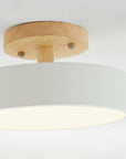 Modern LED Ceiling Lamp