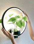 Plant wall lamp