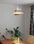 Elegant Ceiling lamp