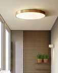 Minimalist LED ceiling light