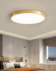 Minimalist LED ceiling light
