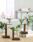 Rustic Wooden Hydroponic Plant Holder with Clear Glass Vase – Natural Minimalist Design for Small Plants and Cuttings 1