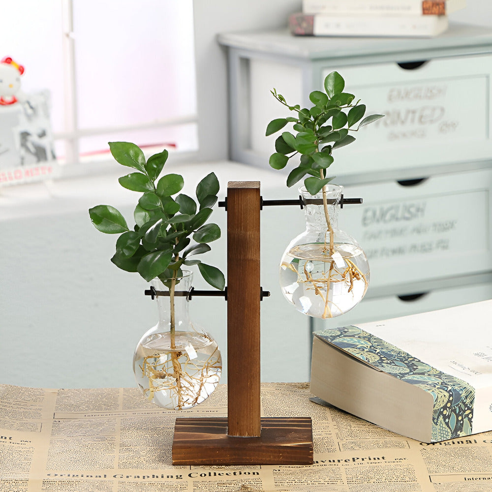 Rustic Wooden Hydroponic Plant Holder with Clear Glass Vase – Natural Minimalist Design for Small Plants and Cuttings 2