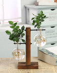 Rustic Wooden Hydroponic Plant Holder with Clear Glass Vase – Natural Minimalist Design for Small Plants and Cuttings 2