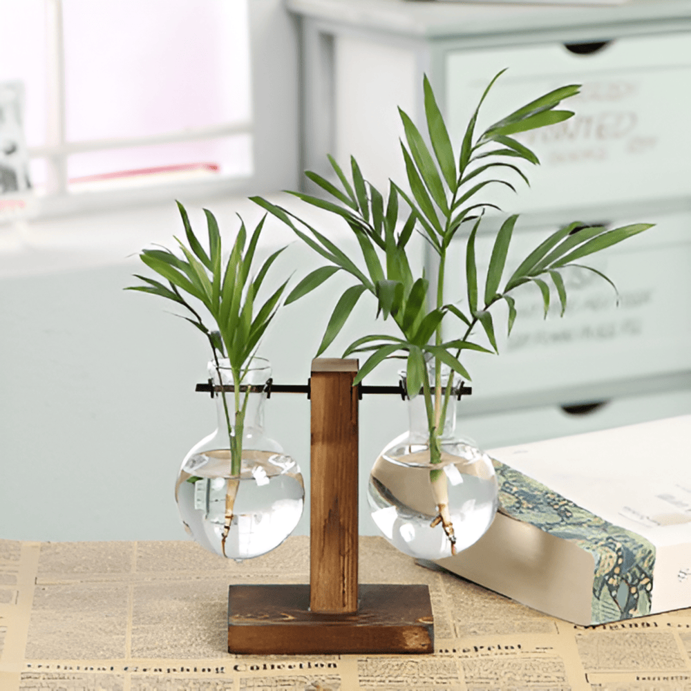 Rustic Wooden Hydroponic Plant Holder with Clear Glass Vase – Natural Minimalist Design for Small Plants and Cuttings 3