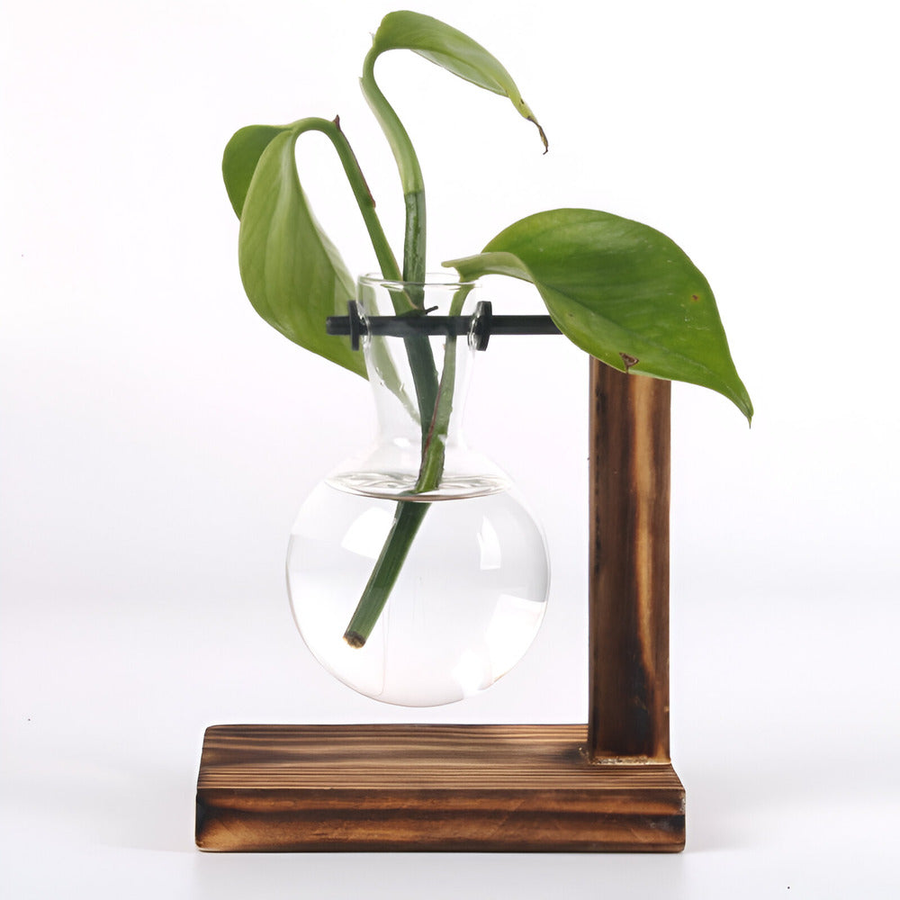 Rustic Wooden Hydroponic Plant Holder with Clear Glass Vase – Natural Minimalist Design for Small Plants and Cuttings 4